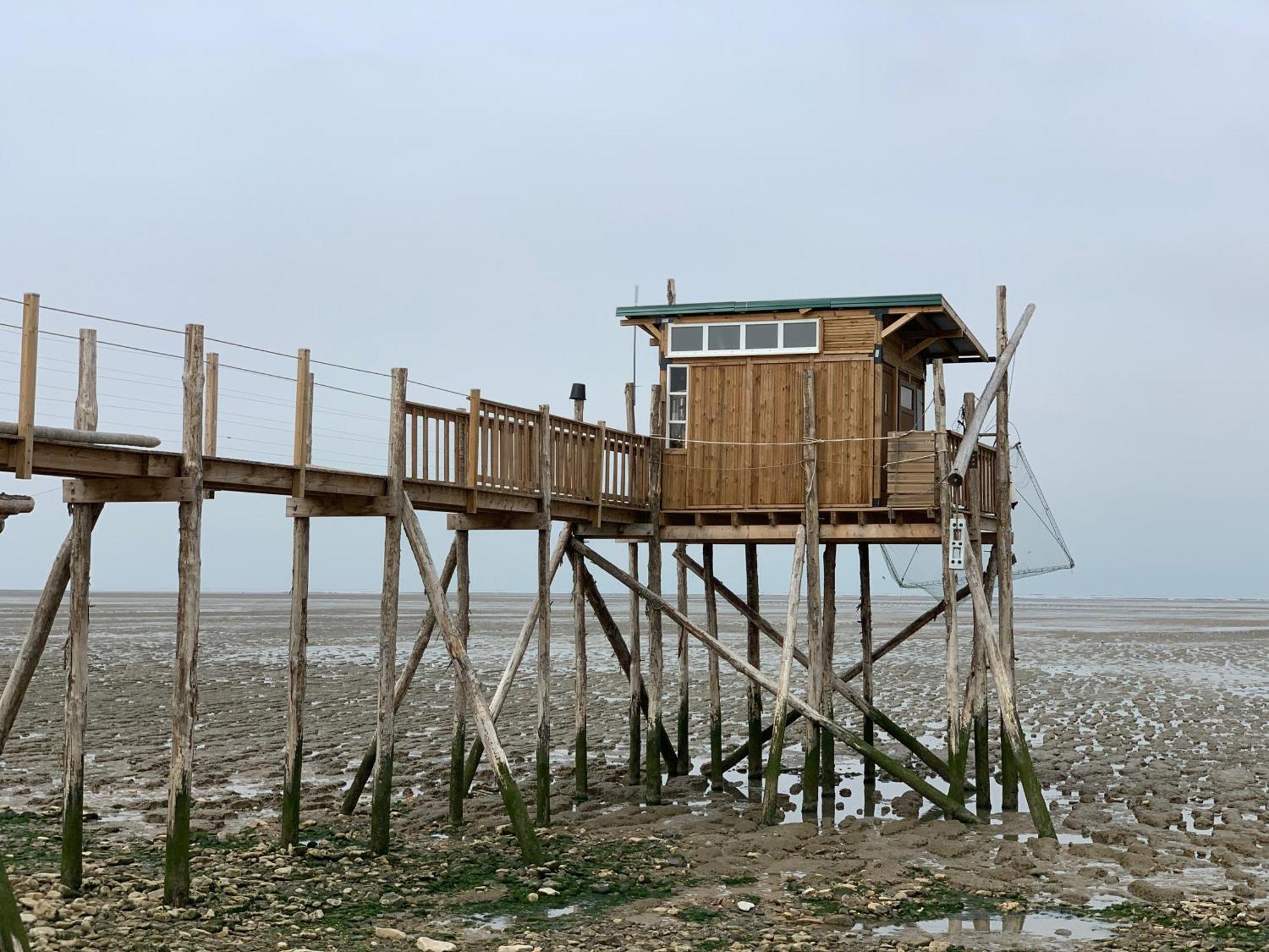 Les Studios Du Chemins Vert La Rochelle  Ngoại thất bức ảnh
